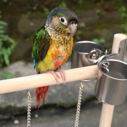 Parque infantil para pájaros, soporte para percha, tazas de alimentación, columpio, escalera de escalada, soporte para loros, ejercicio, gimnasio de juegos para periquito, cacatúa Lovebi